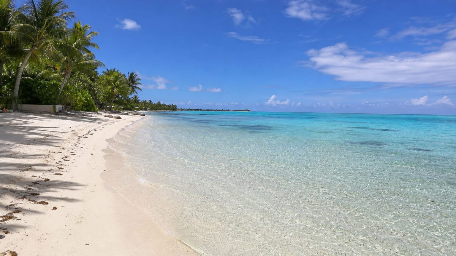 Bora-Bora travel guide: How to experience the city without rushing 27 Day 2: Pearl Farm and Matira