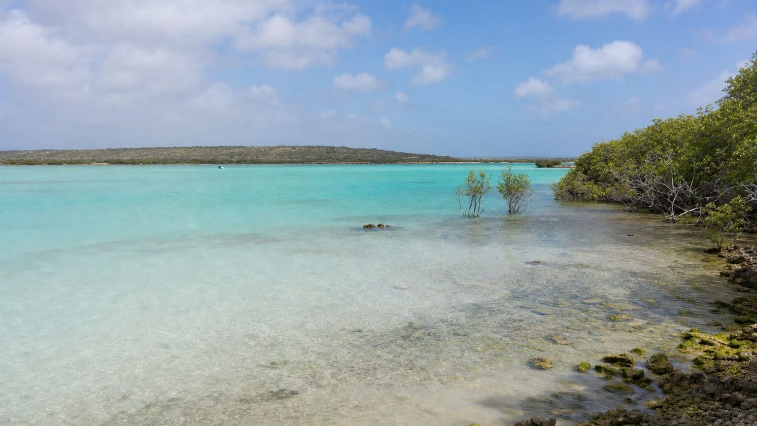 Bonaire Island travel guide: How to experience the city without rushing 29 Day 4: Lac Bay Water Day
