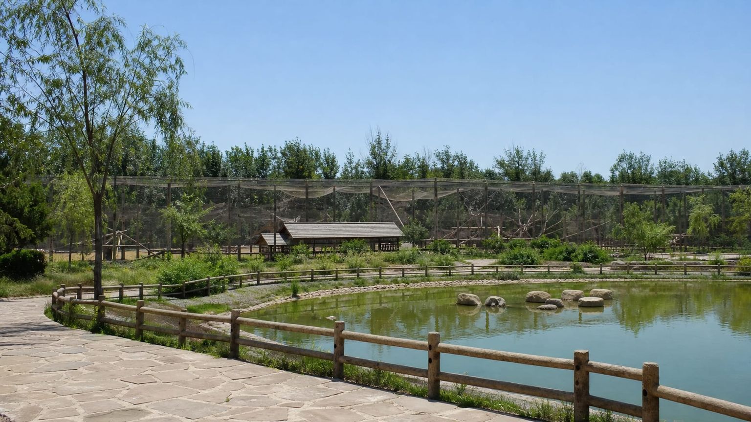 Qinhuangdao travel guide: How to experience the city without rushing 29 Day 3: Wildlife and Sea Views