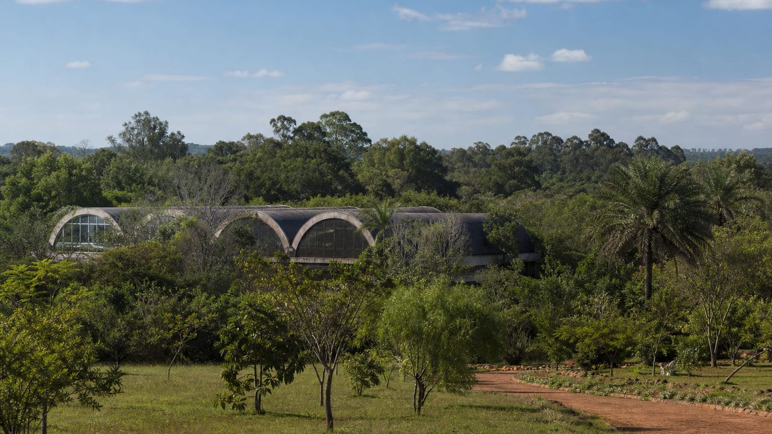 Brasília travel guide: How to experience the city without rushing 30 Day 4: Jardim Botânico and JK