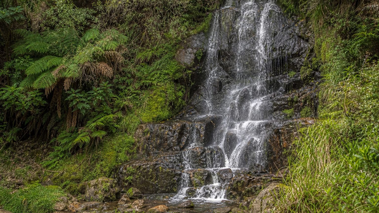 Burnie travel guide: How to experience the city without rushing 28 Day 3: Guide Falls and Burnie Park