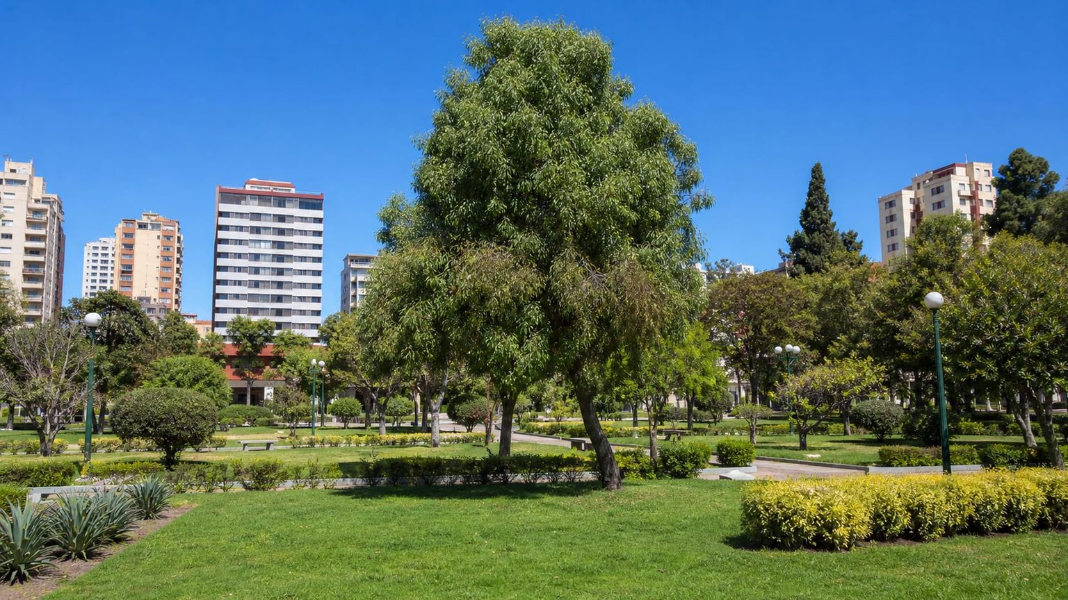 Cochabamba travel guide: How to experience the city without rushing 21 Kantuta Park