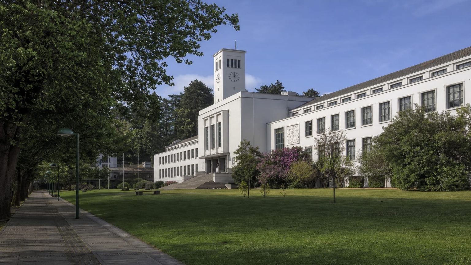 Concepción travel guide: How to experience the city without rushing 28 Day 3: University Campus Walk