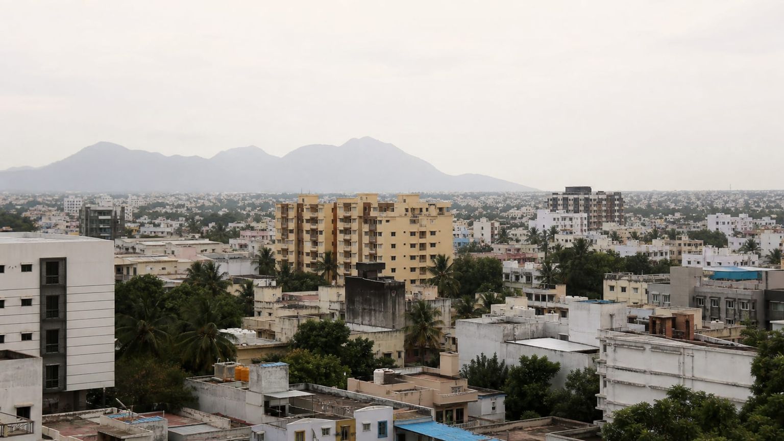 Coimbatore travel guide: How to experience the city without rushing 25 Traditional food