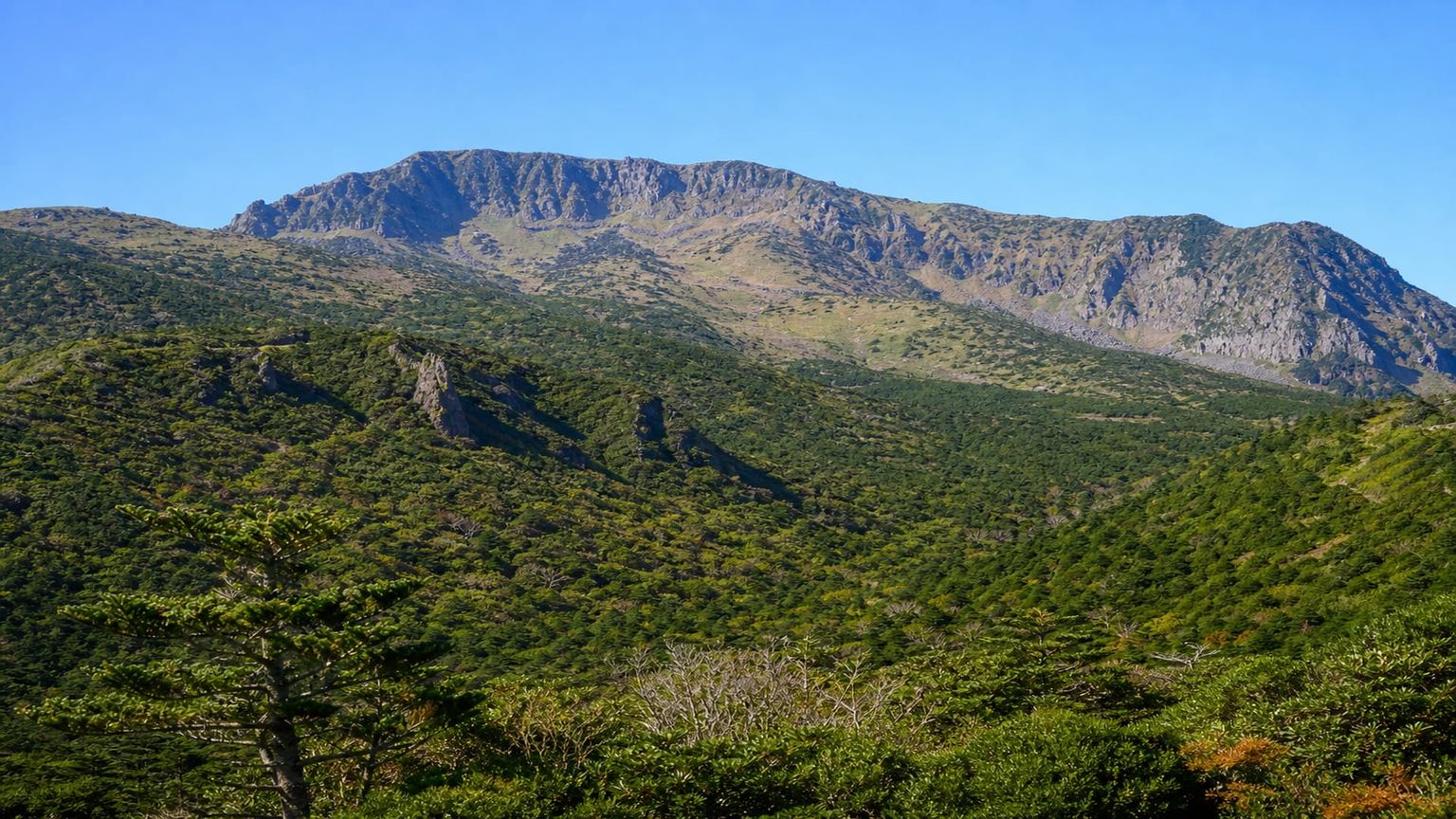 Jejudo travel guide: How to experience the city without rushing 22 Hallasan National Park