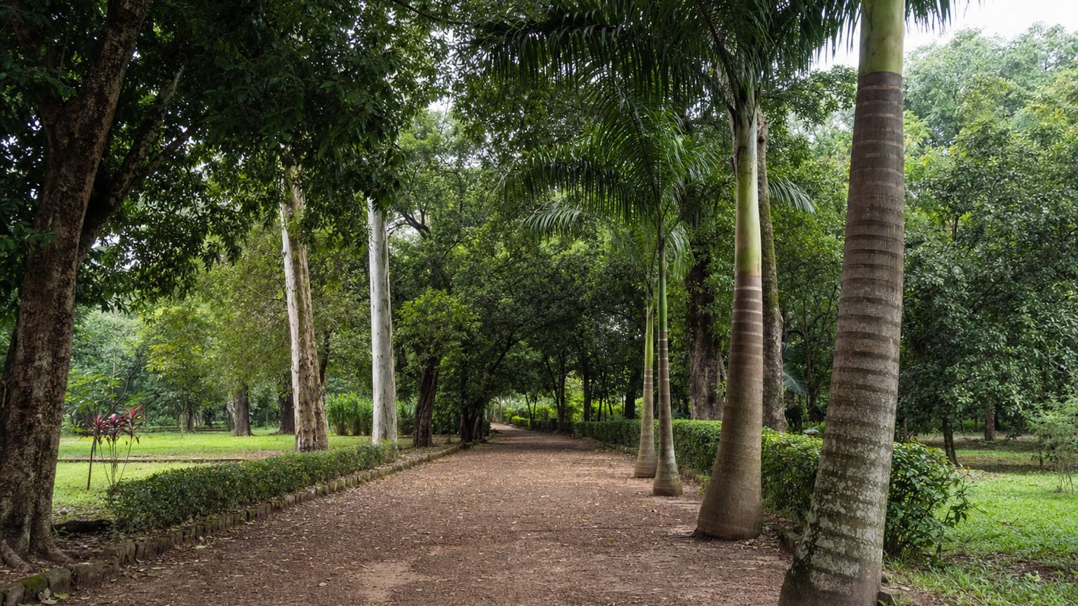 Conakry travel guide: How to experience the city without rushing 29 Day 3: Garden and Arts