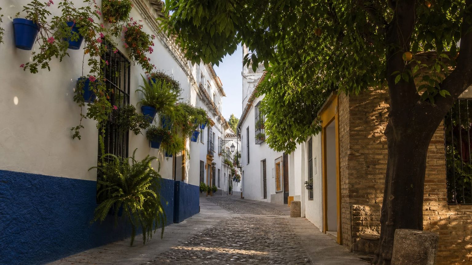 Córdoba travel guide: How to experience the city without rushing 15 Juderia