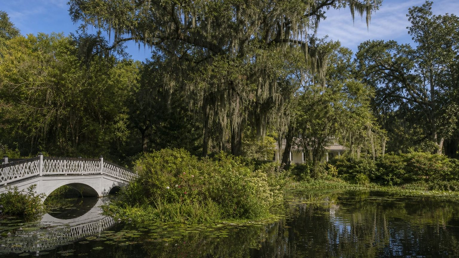Charleston travel guide: How to experience the city without rushing 22 Magnolia Plantation and Gardens