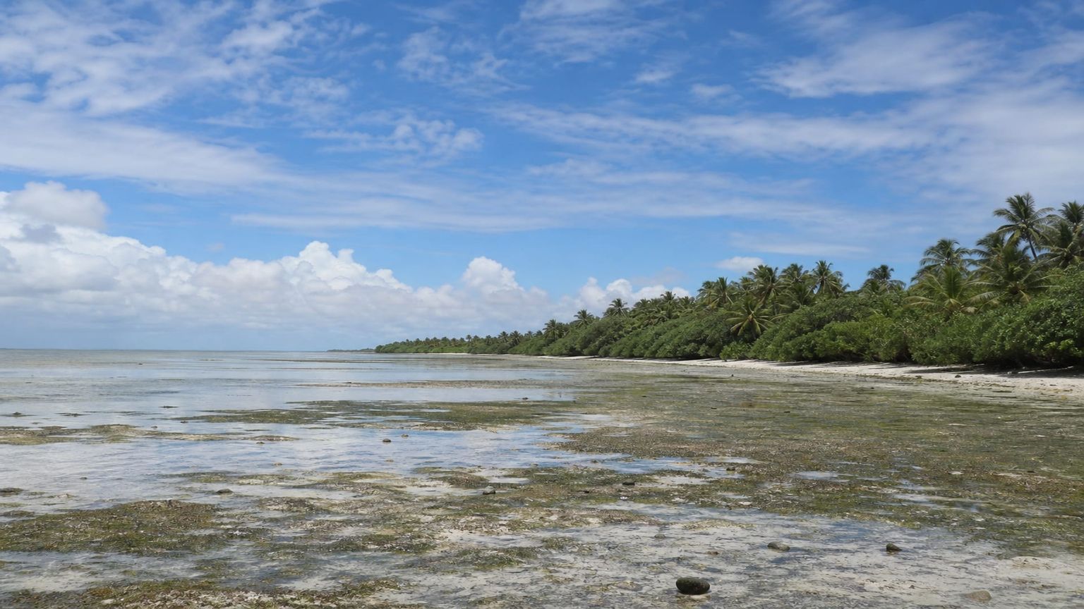 Kiritimati Island travel guide: How to experience the city without rushing 29 Day 4: Banana Shoreline