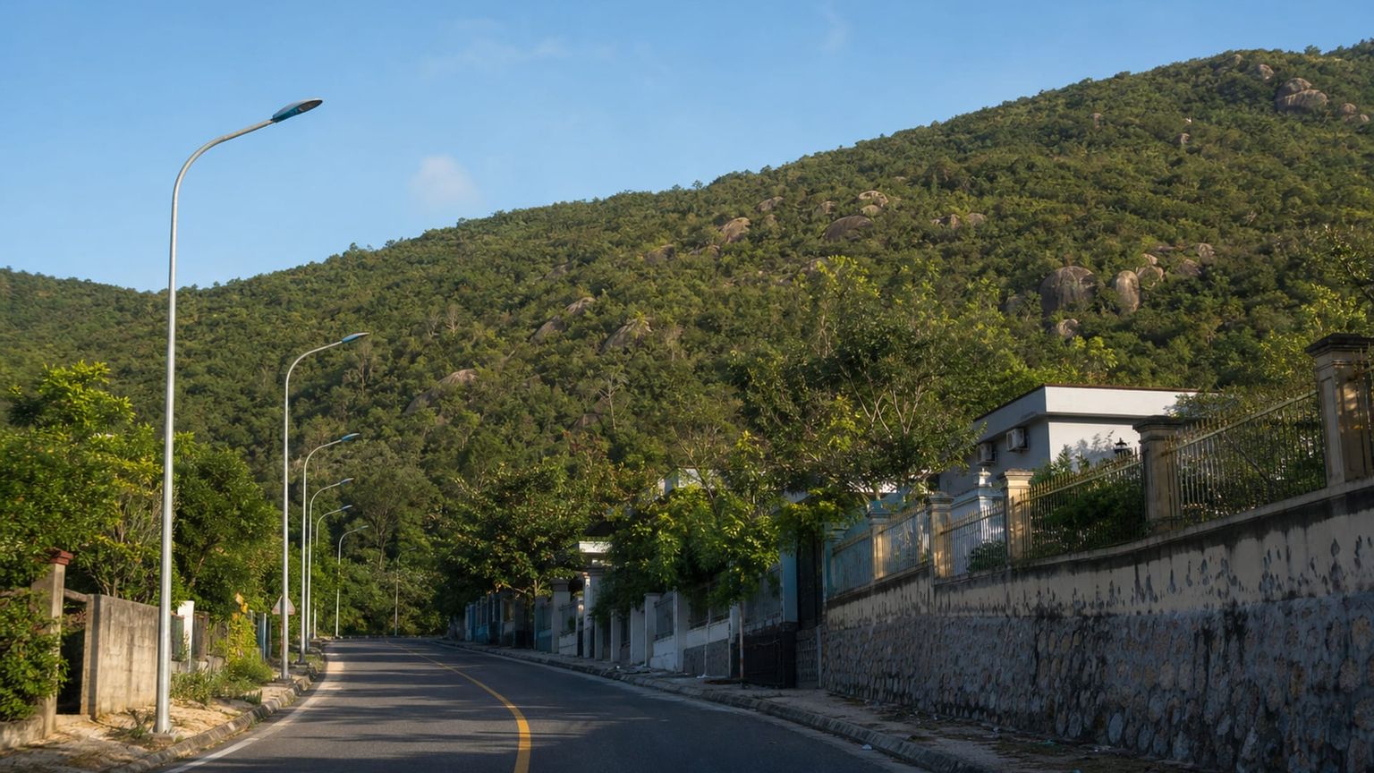 Da Nang travel guide: How to experience the city without rushing 17 Son Tra Peninsula foothills