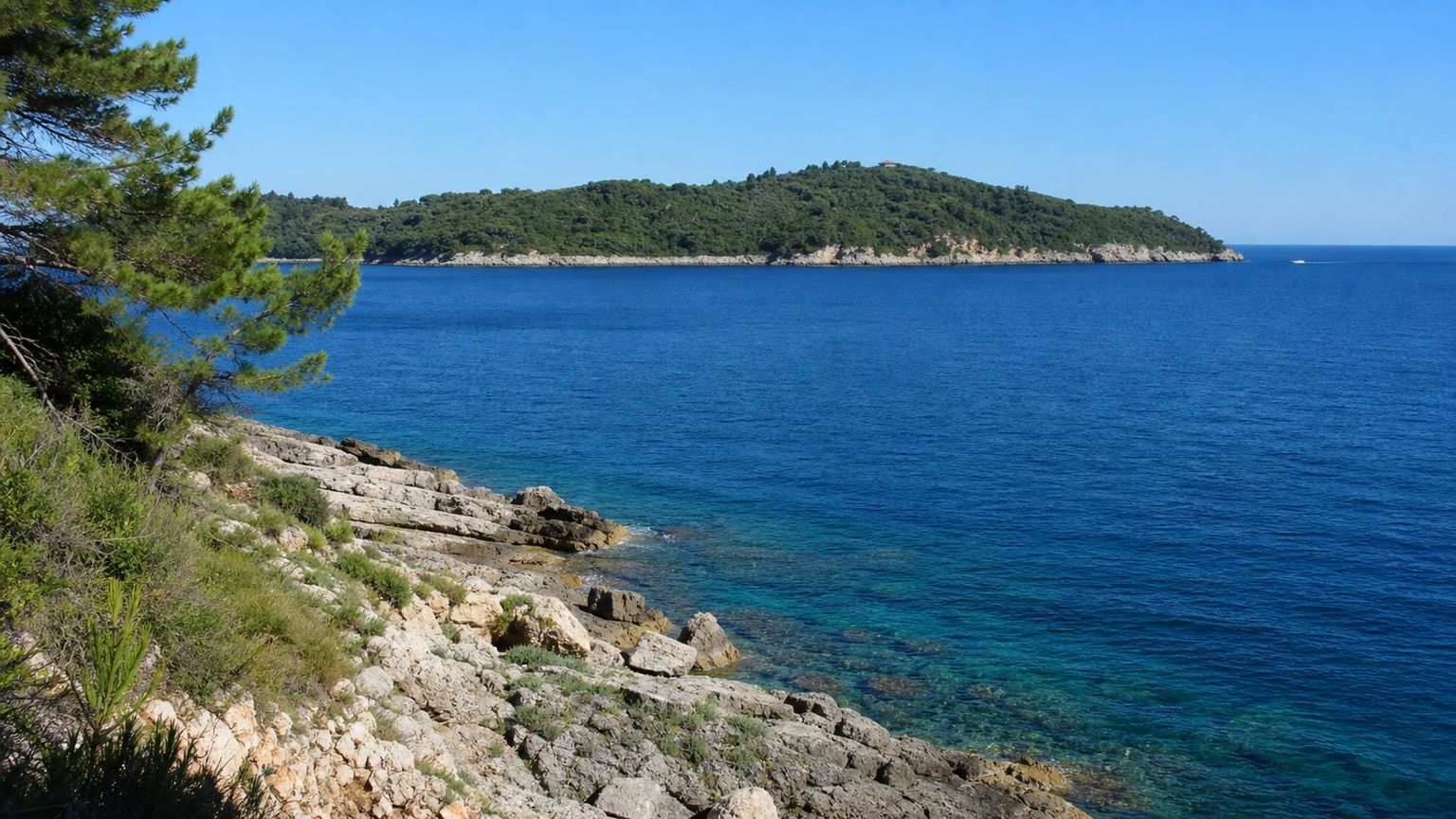 Dubrovnik travel guide: How to experience the city without rushing 30 Day 4: Lokrum and Pile