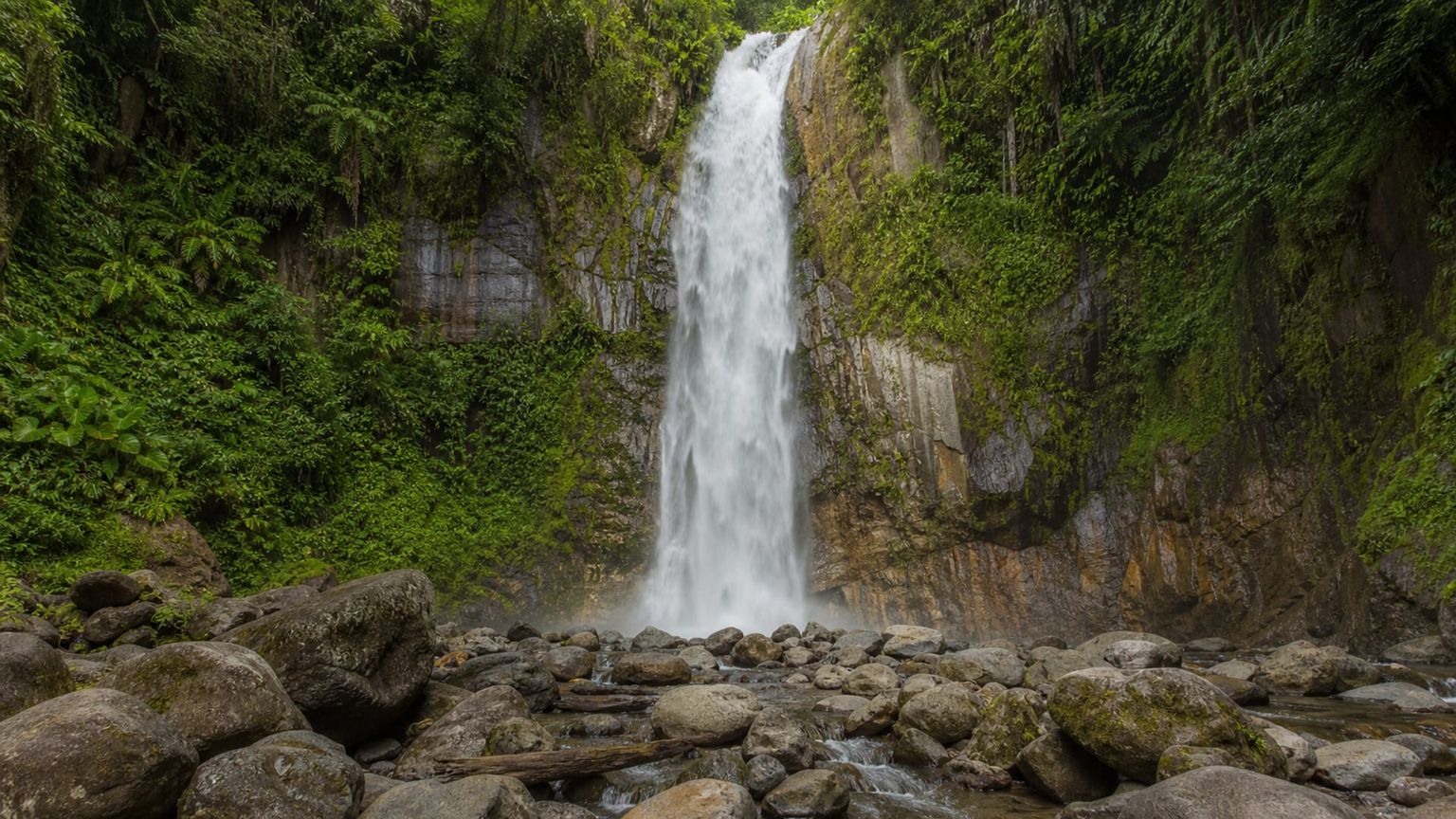 Dominica travel guide: How to experience the city without rushing 27 Day 2: Old Market and Trafalgar Falls