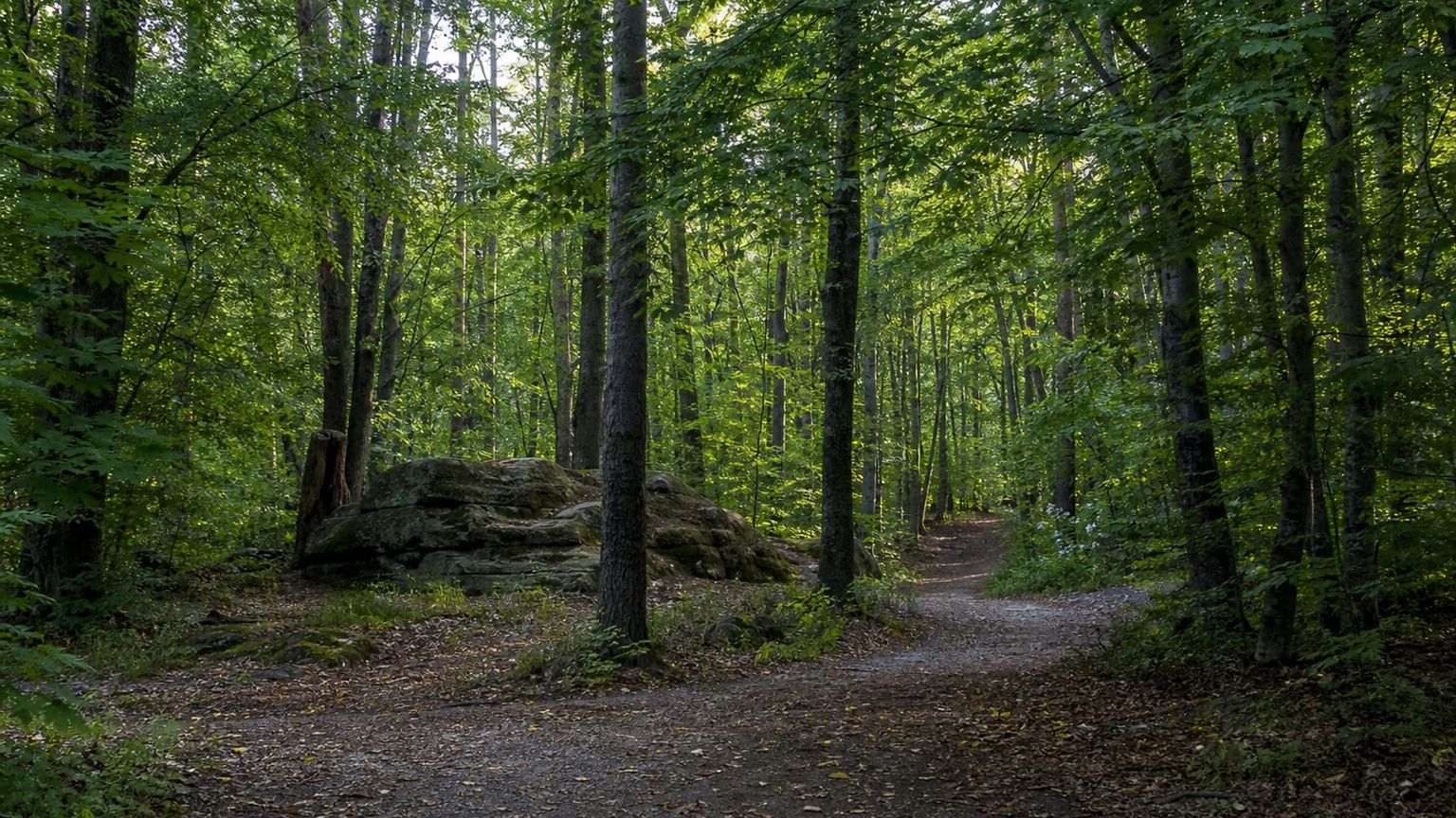 Dresden travel guide: How to experience the city without rushing 29 Day 4: Dresden Heath Escape