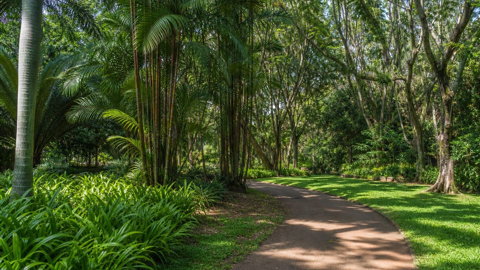 Darwin travel guide: How to experience the city without rushing 30 Day 4: Parap Markets and Gardens