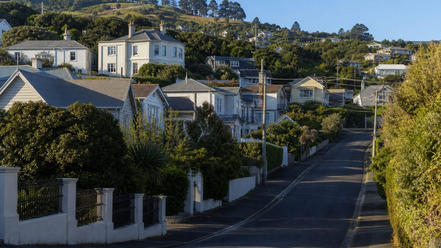 Dunedin travel guide: How to experience the city without rushing 16 Roslyn