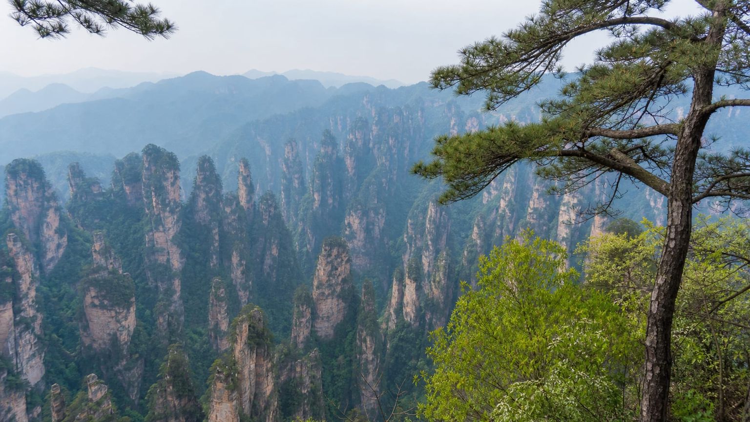 Zhangjiajie travel guide: How to experience the city without rushing 26 Day 1: Arrival and Adjustment