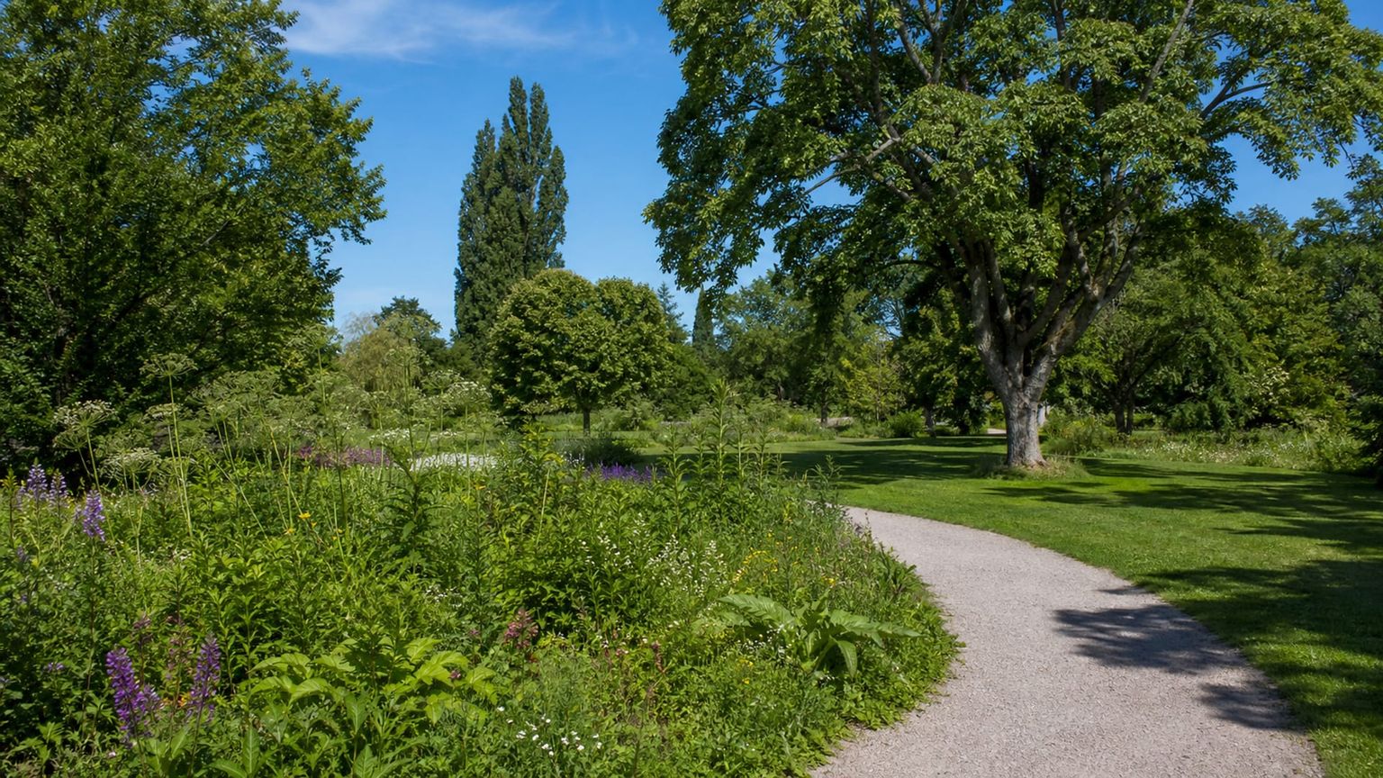 Basel travel guide: How to experience the city without rushing 29 Day 3: Gardens and Rhine