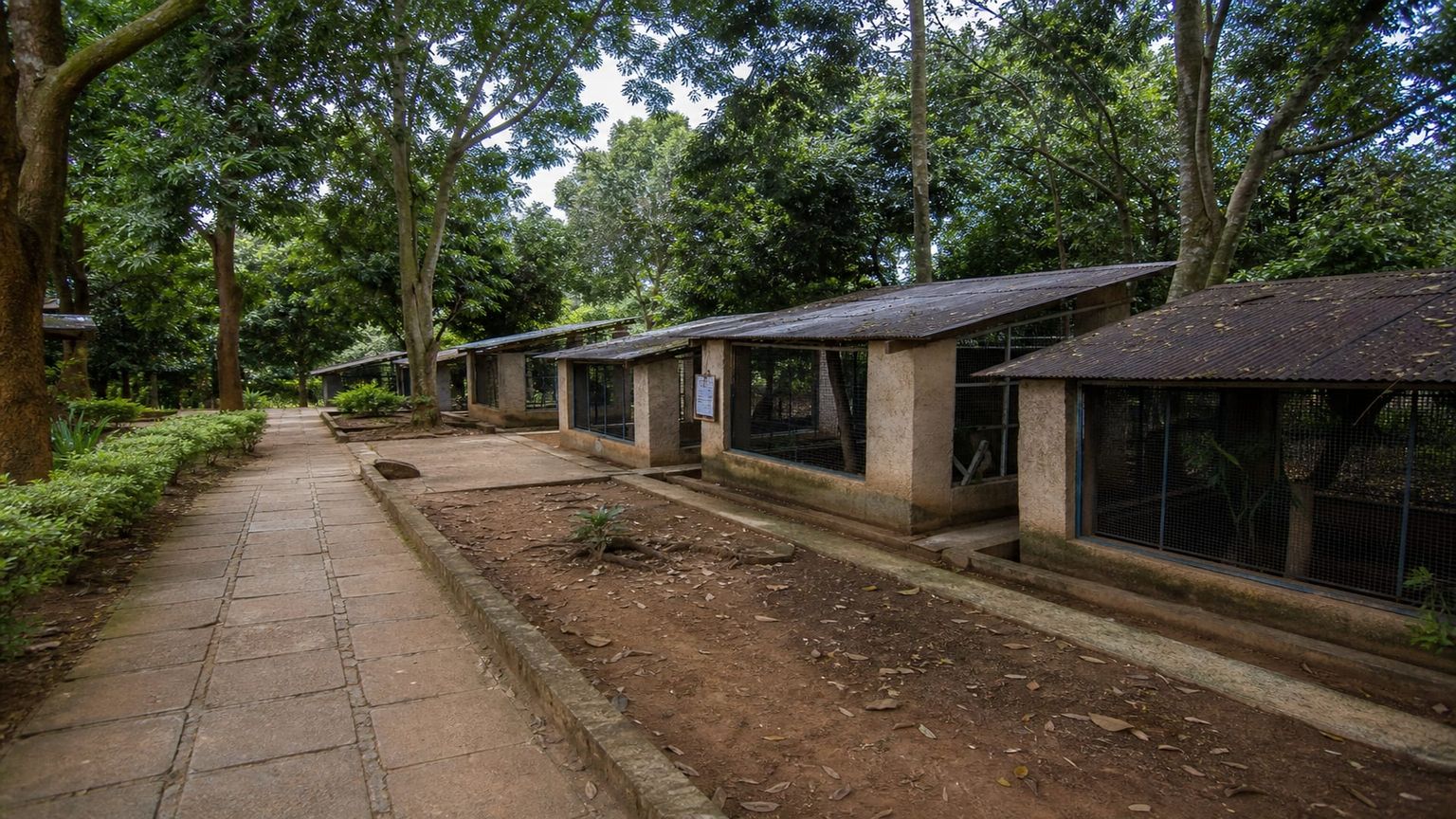 Entebbe travel guide: How to experience the city without rushing 30 Day 4: Reptiles and Lake Views