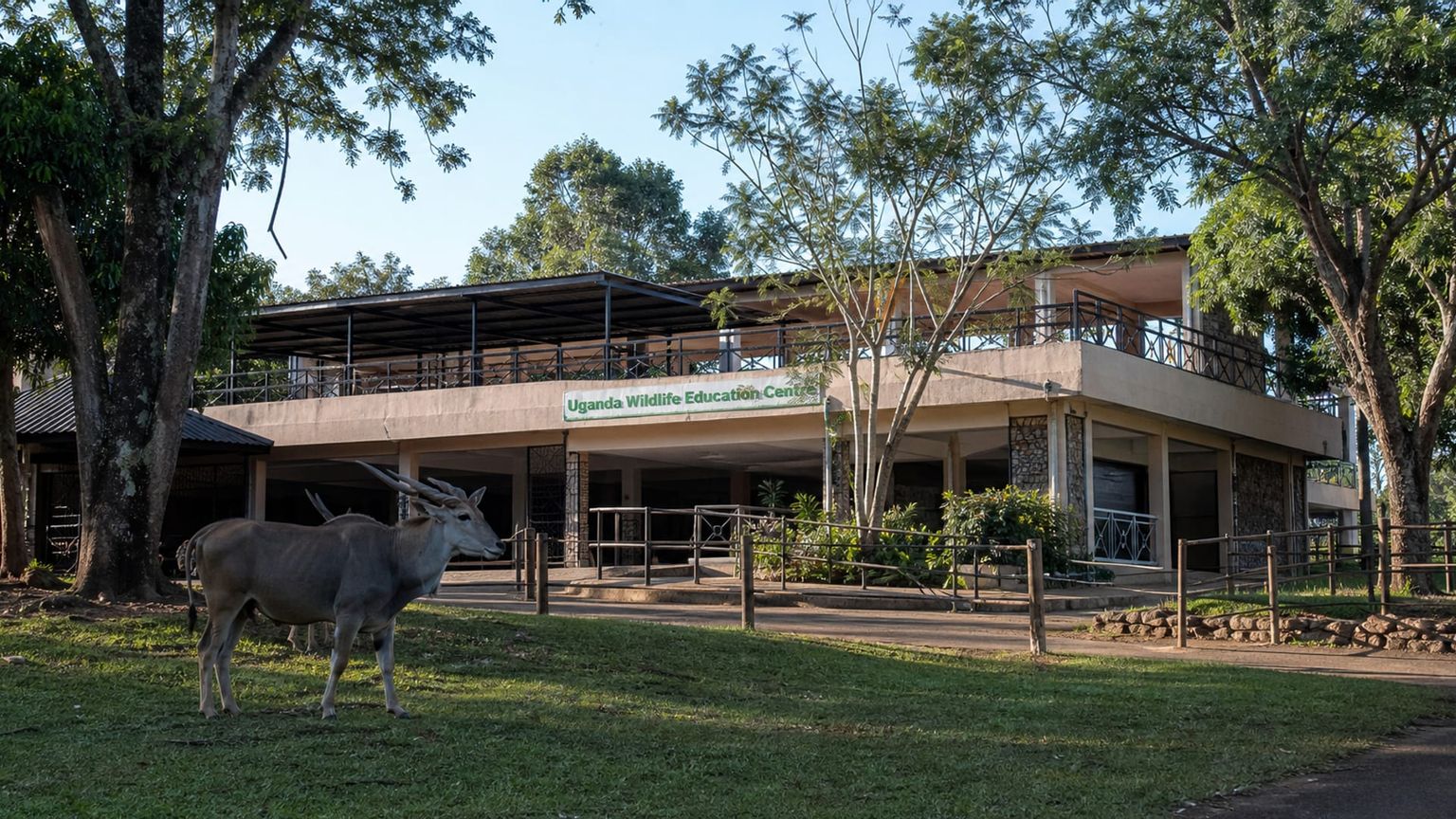Entebbe travel guide: How to experience the city without rushing 21 Uganda Wildlife Education Centre