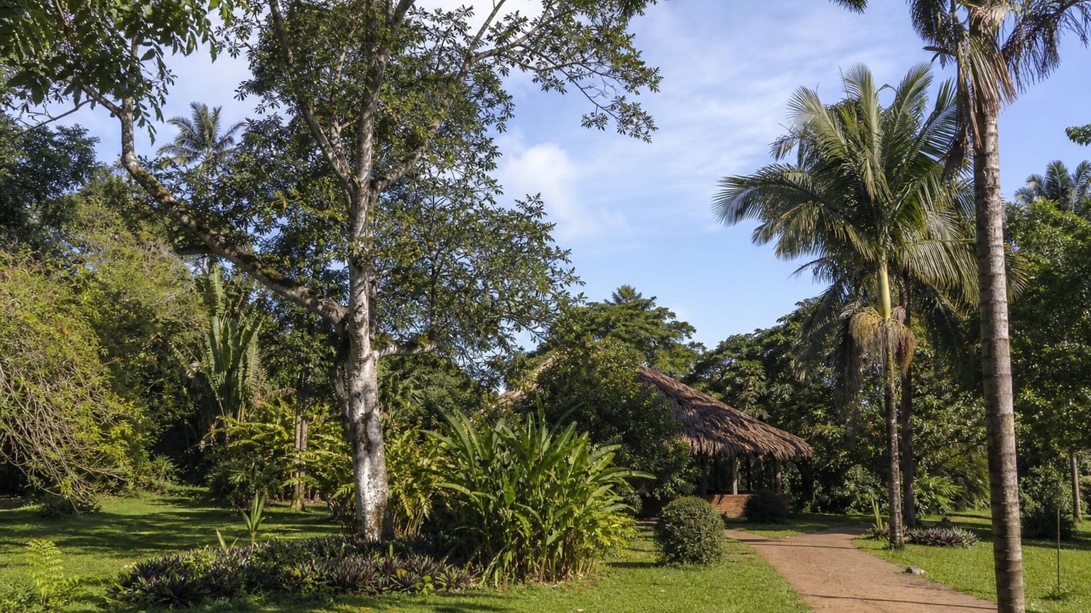 Entebbe travel guide: How to experience the city without rushing 22 Entebbe Botanical Garden
