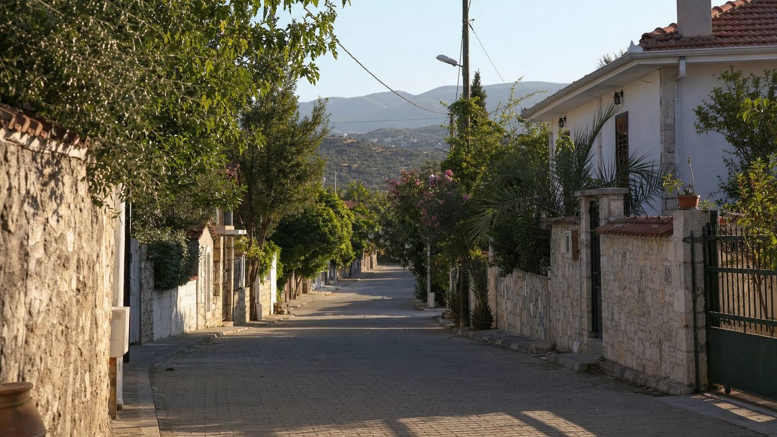 Edremit travel guide: How to experience the city without rushing 17 Zeytinli