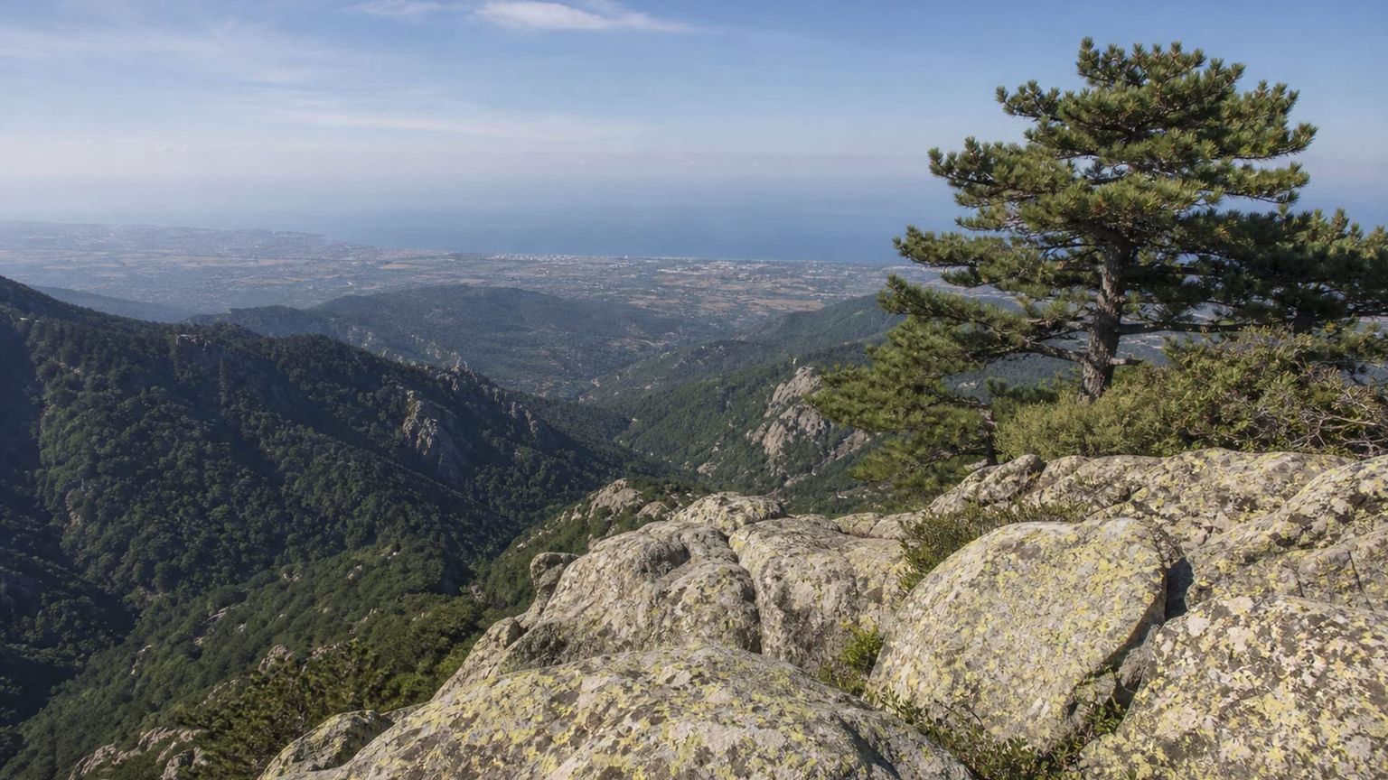 Edremit travel guide: How to experience the city without rushing 30 Day 4: Forest Views and Akçay