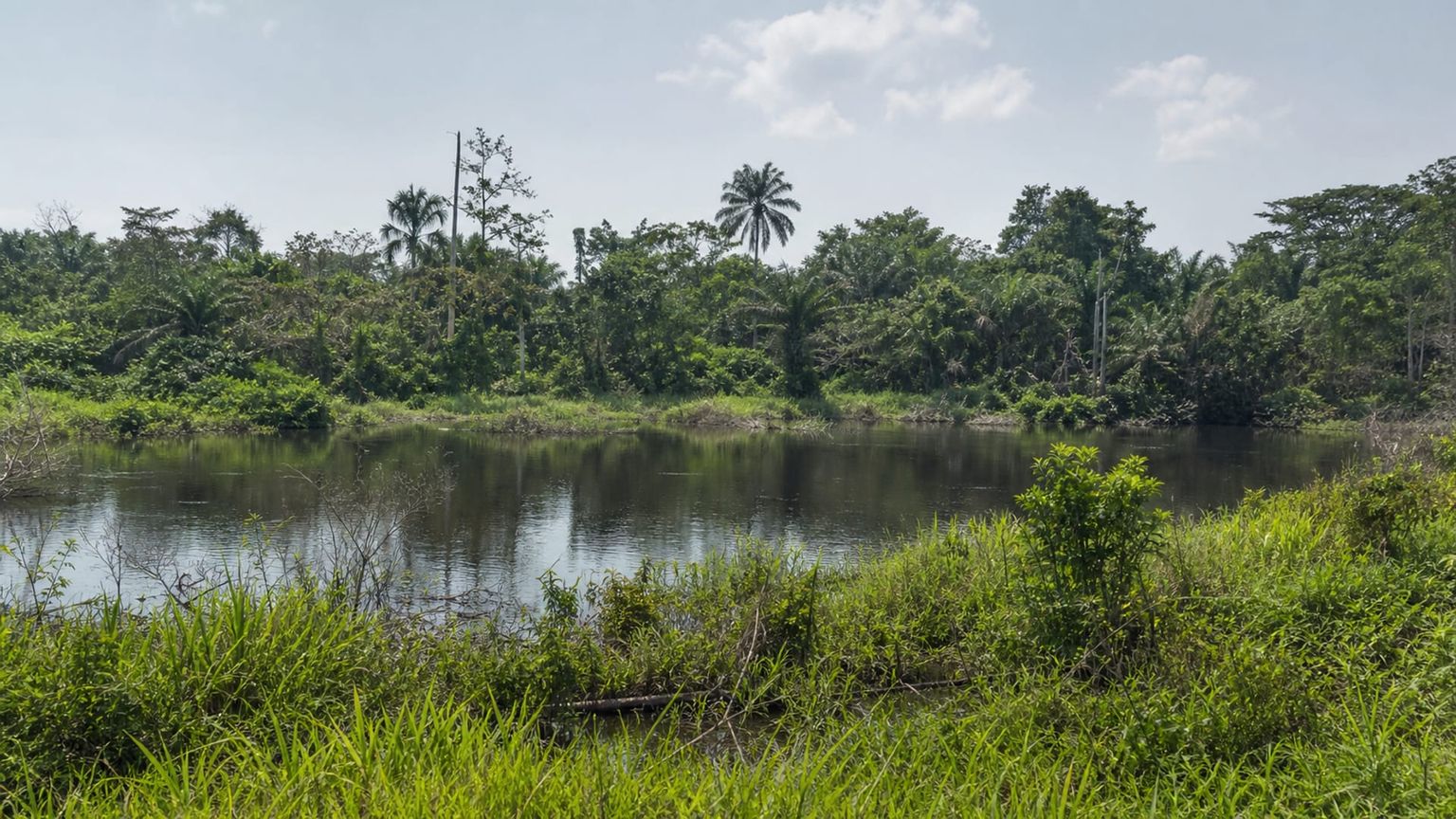 Kinshasa travel guide: How to experience the city without rushing 28 Day 3: Studios and Mbudi