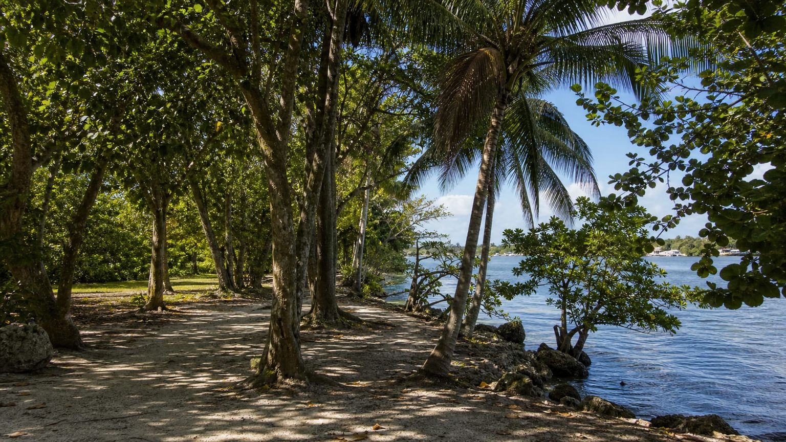Fort Lauderdale travel guide: How to experience the city without rushing 30 Day 4: Birch Park and Beach