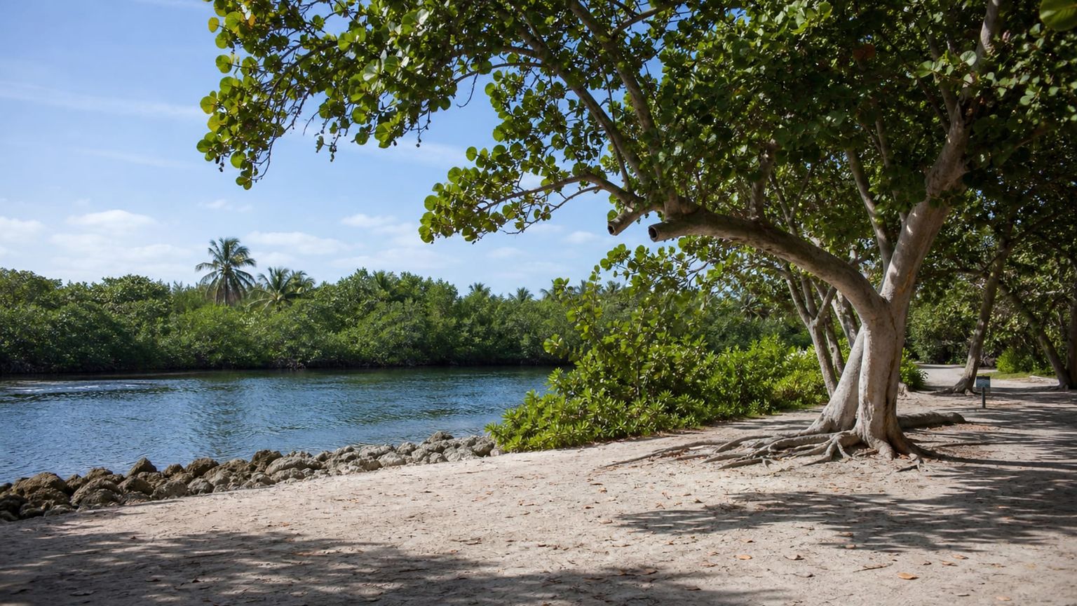 Fort Lauderdale travel guide: How to experience the city without rushing 23 Hugh Taylor Birch State Park