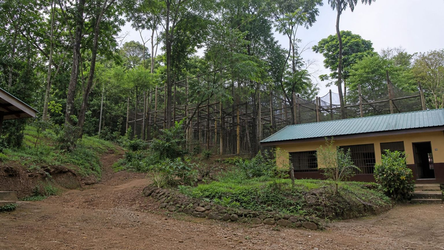 Freetown travel guide: How to experience the city without rushing 28 Day 3: Tacugama Forest Visit