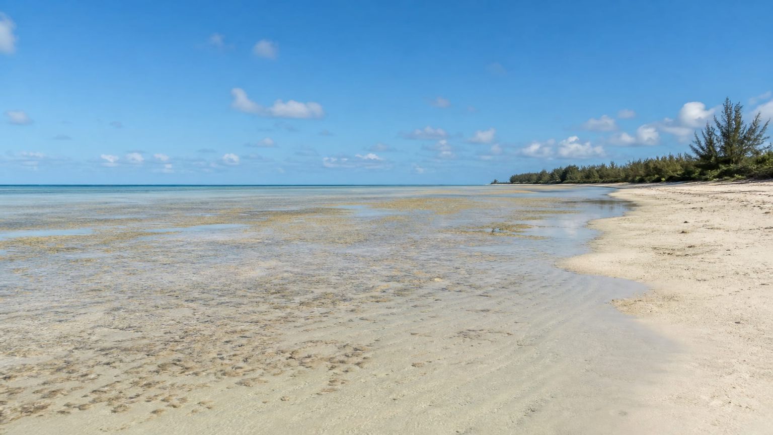 Freeport travel guide: How to experience the city without rushing 29 Day 4: Beach and Gold Rock