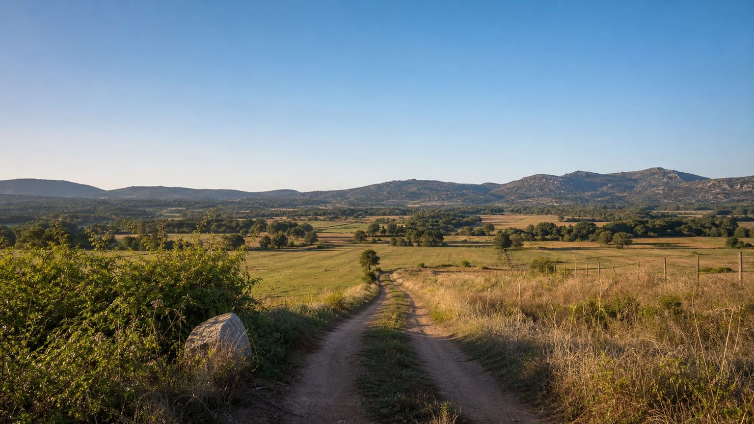 Figari travel guide: How to experience the city without rushing 16 Figari plain