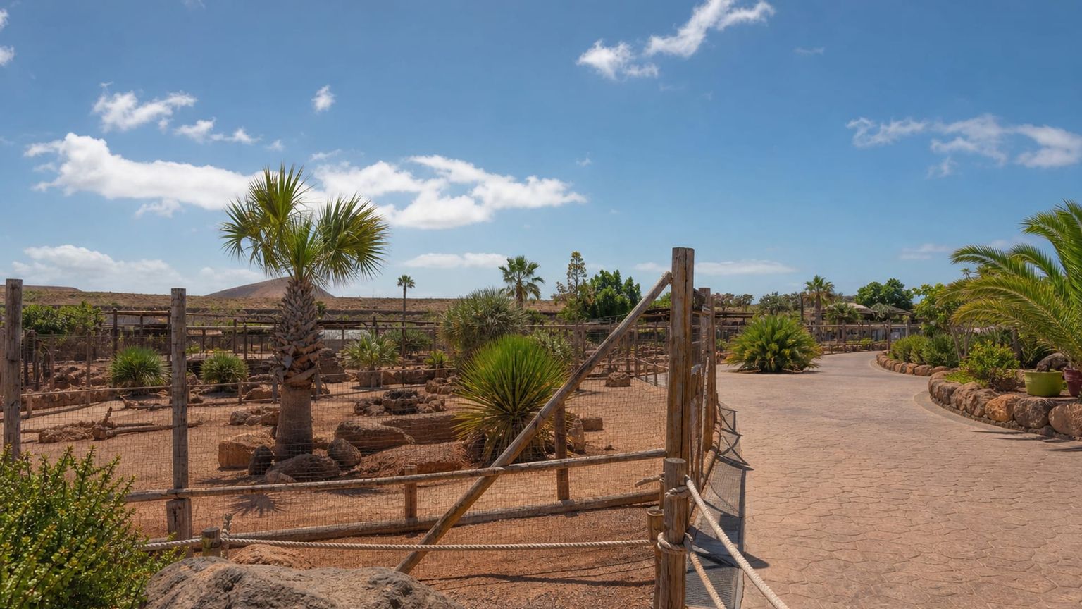 Fuerteventura travel guide: How to experience the city without rushing 30 Day 4: South Coast and Oasis Wildlife
