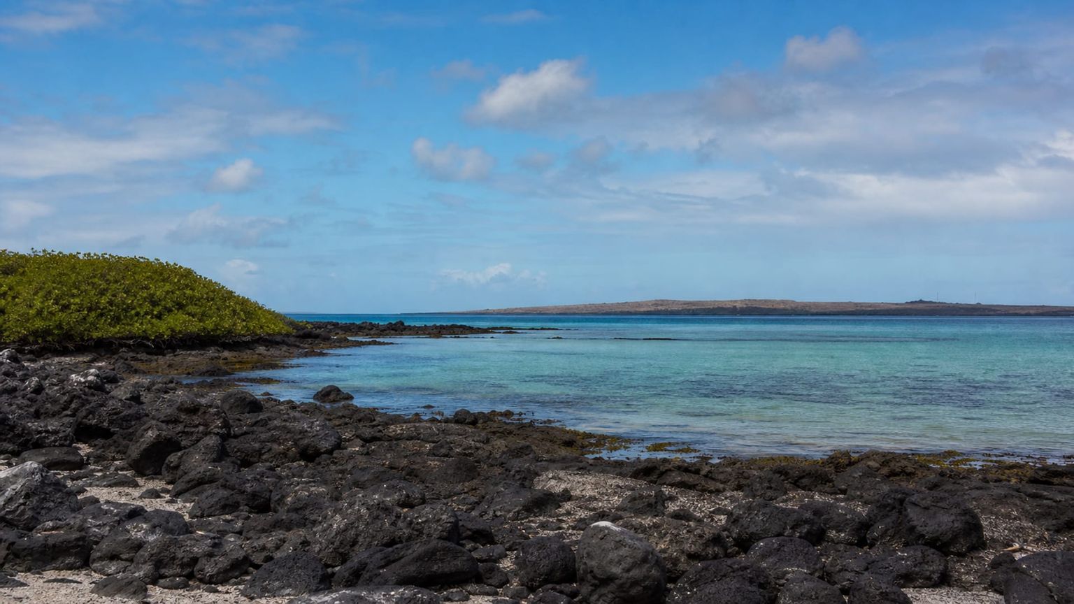 Baltra Island travel guide: How to experience the city without rushing 27 Day 2: Bachas and the Highlands