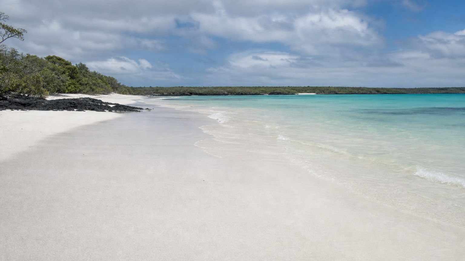 Baltra Island travel guide: How to experience the city without rushing 28 Day 3: Tortuga Bay and Waterfront Walks