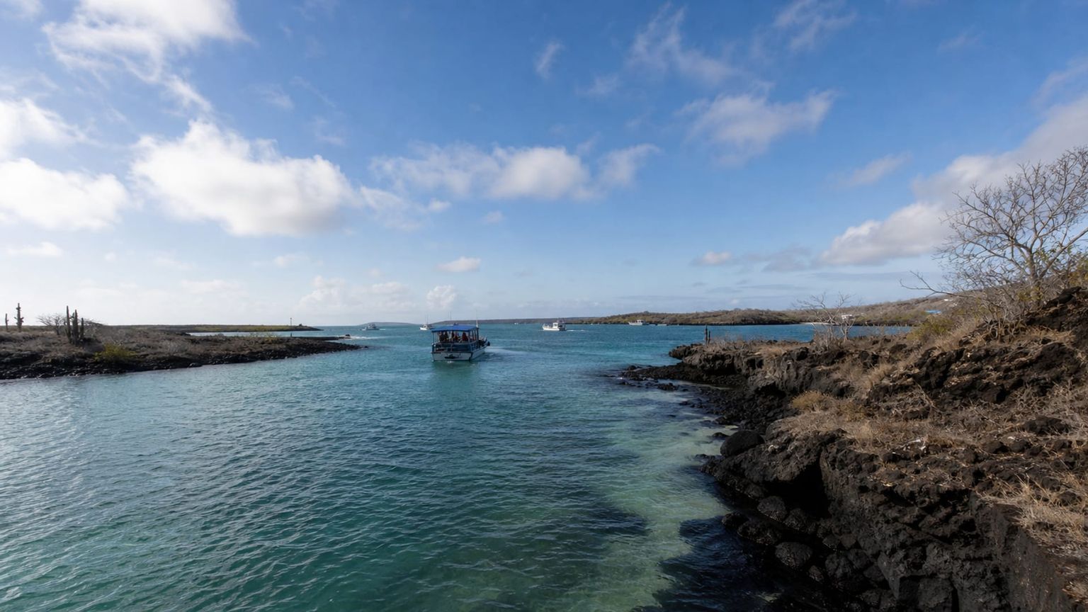 Baltra Island travel guide: How to experience the city without rushing 22 Itabaca Channel
