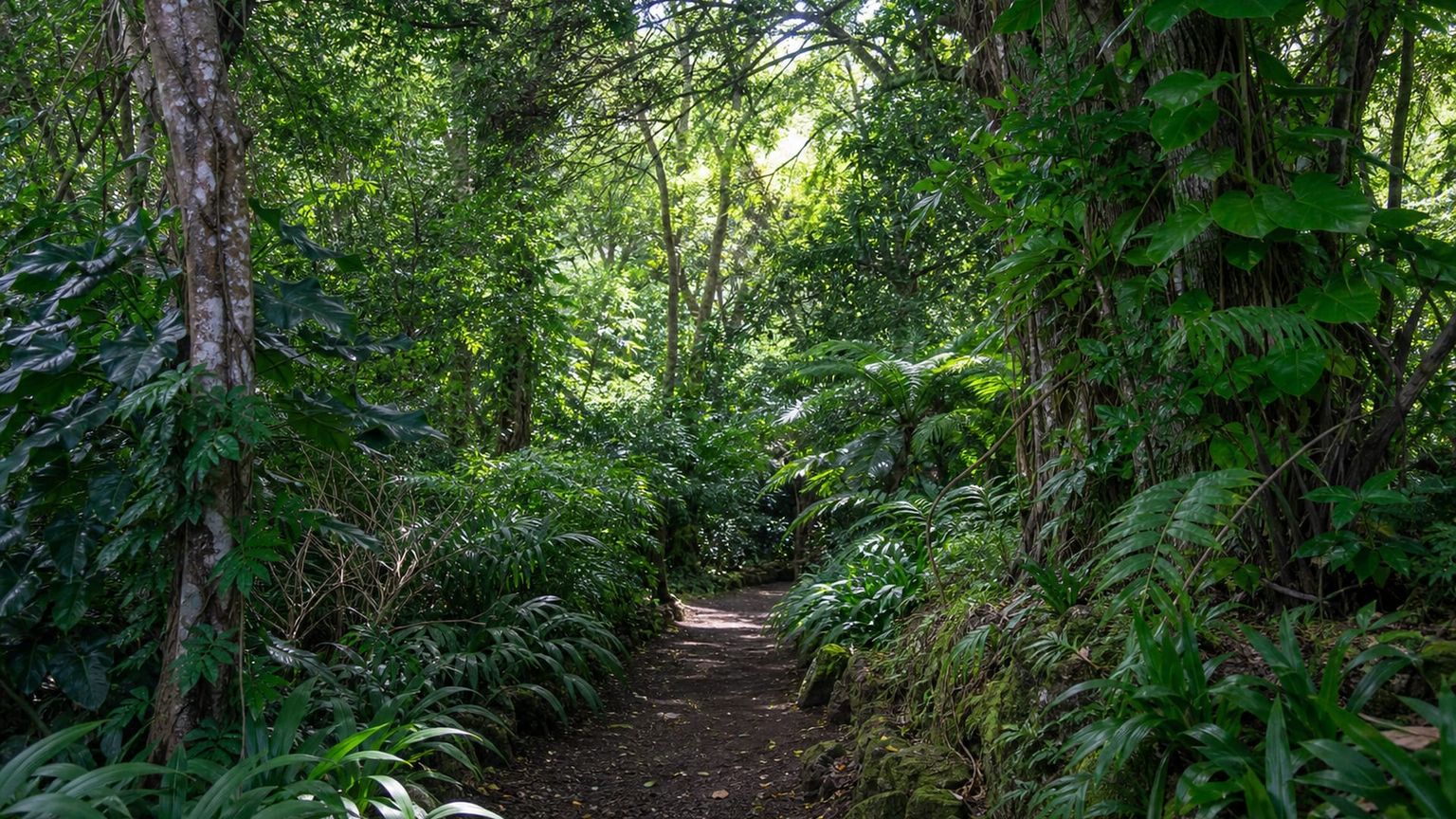 Honolulu travel guide: How to experience the city without rushing 30 Day 4: Manoa and Kahala