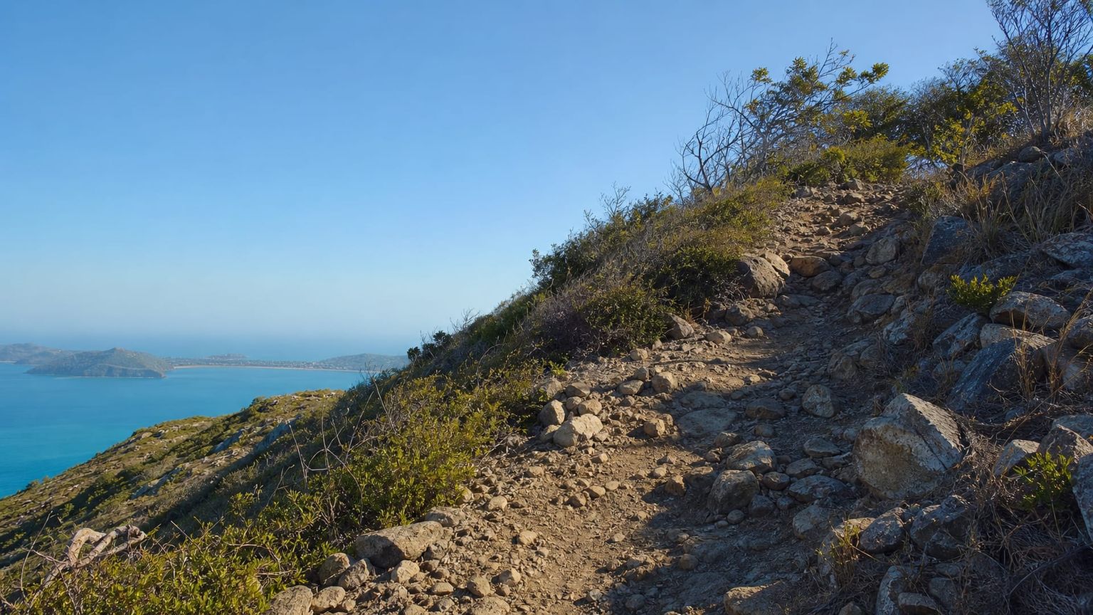 Hamilton Island travel guide: How to experience the city without rushing 27 Day 2: Passage Peak and Wildlife