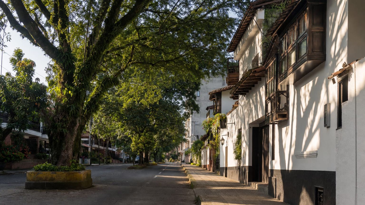 Ibagué travel guide: How to experience the city without rushing 15 Arboleda