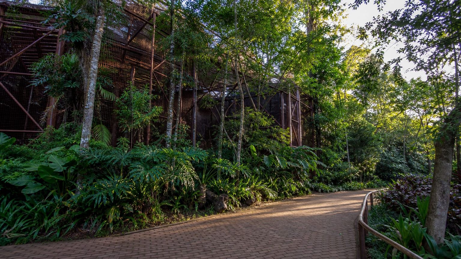 Foz do Iguaçu travel guide: How to experience the city without rushing 22 Parque das Aves