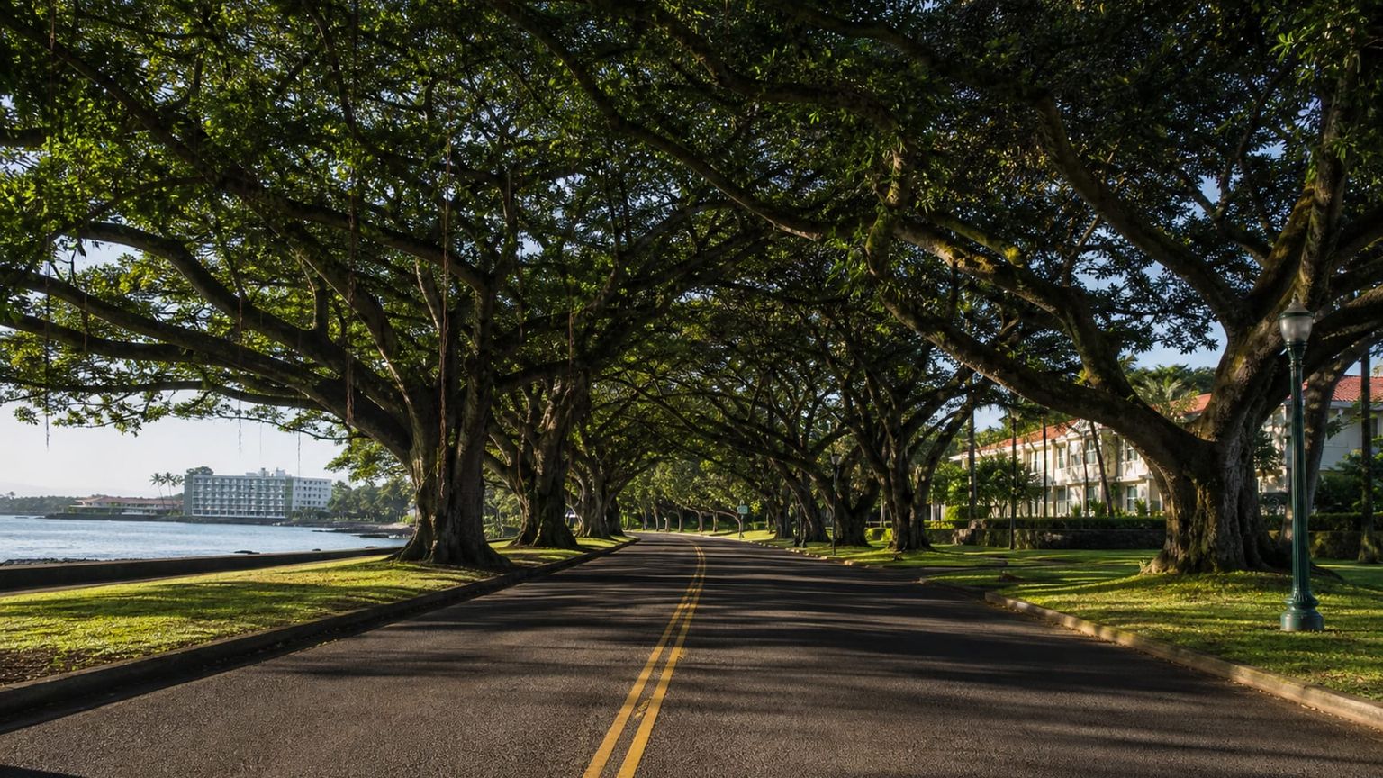 Hilo travel guide: How to experience the city without rushing 15 Banyan Drive