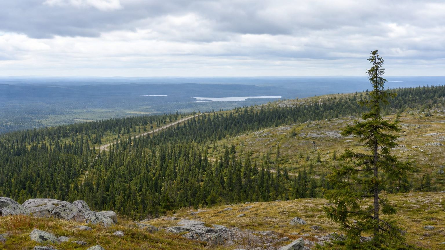 Kuusamo travel guide: How to experience the city without rushing 26 Day 1: Arrival and Adjustment