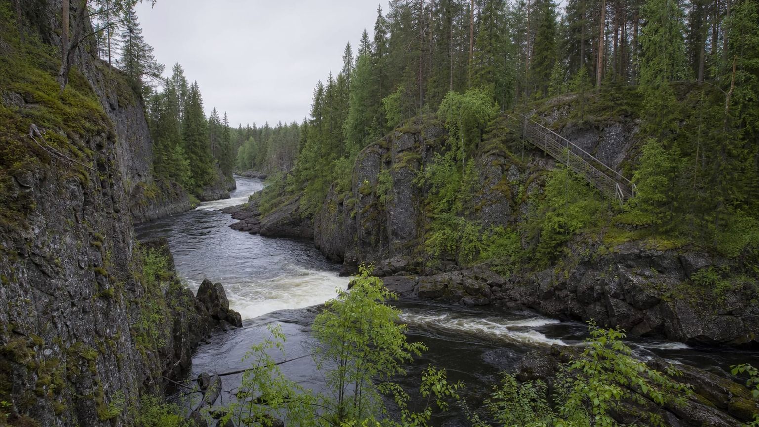 Kuusamo travel guide: How to experience the city without rushing 28 Day 3: Oulanka Gorge Walk