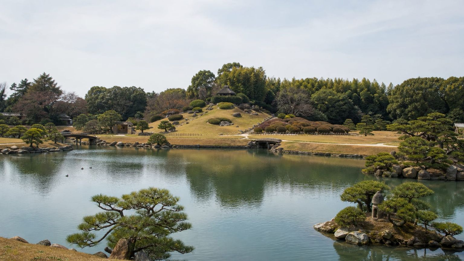 Miyazaki travel guide: How to experience the city without rushing 22 Miyazaki Shrine