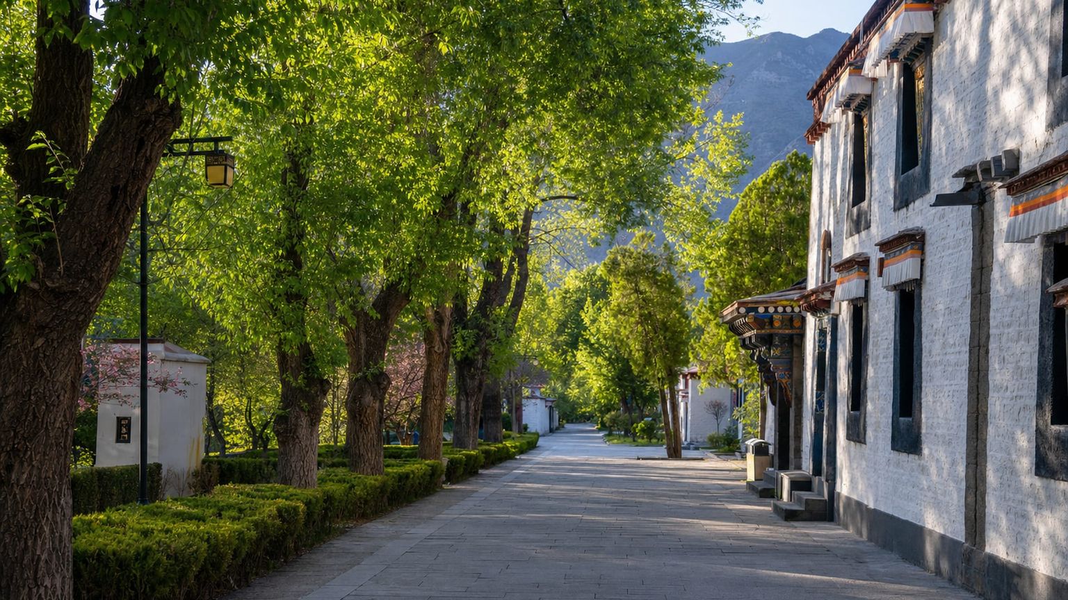 Lhasa travel guide: How to experience the city without rushing 17 Norbulingka area