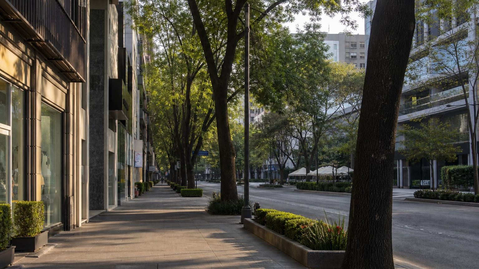 Mexico City travel guide: How to experience the city without rushing 3 Useful things to know