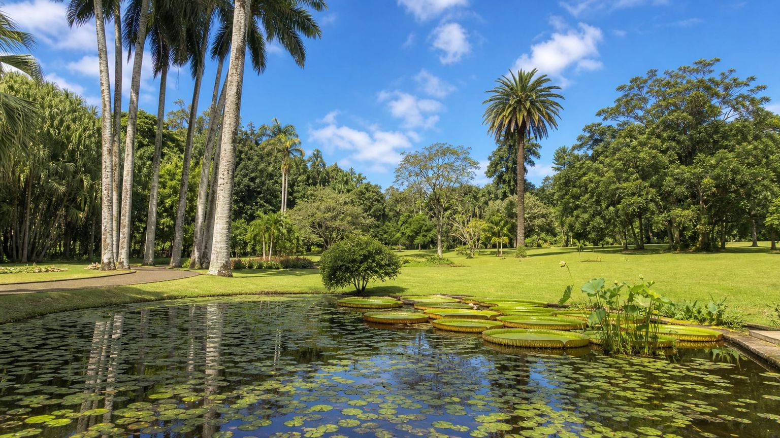 Mauritius travel guide: How to experience the city without rushing 23 SSR Botanic Garden