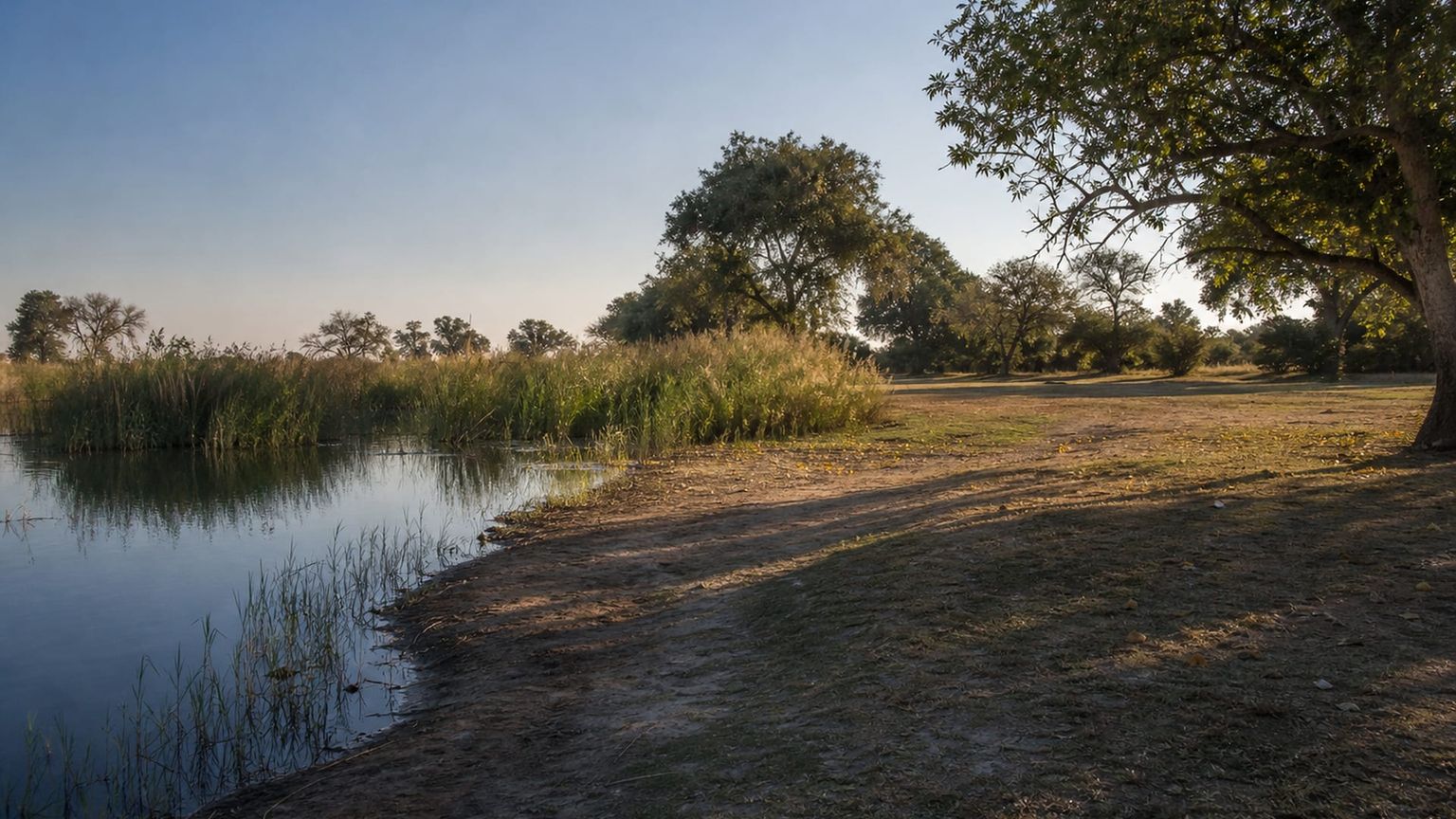 Maun travel guide: How to experience the city without rushing 16 Thamalakane river edge