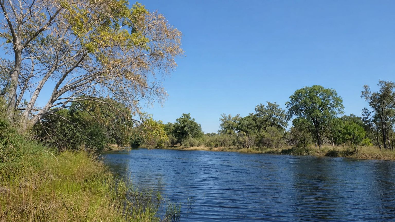 Maun travel guide: How to experience the city without rushing 30 Day 5: Last Errands and Departure
