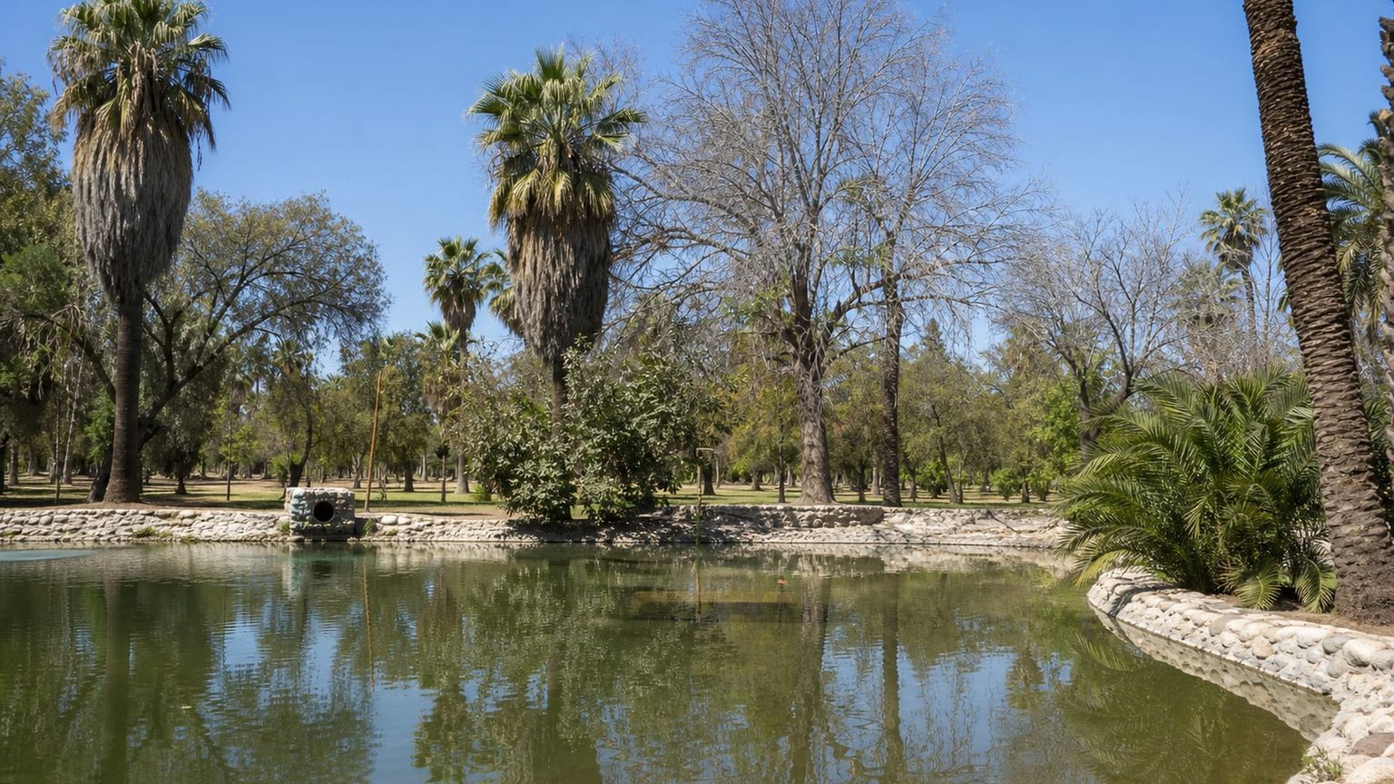 Mexicali travel guide: How to experience the city without rushing 29 Day 4: Bosque and Rio Nuevo